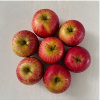 Baby Apples - ROYAL DELICIOUS 
